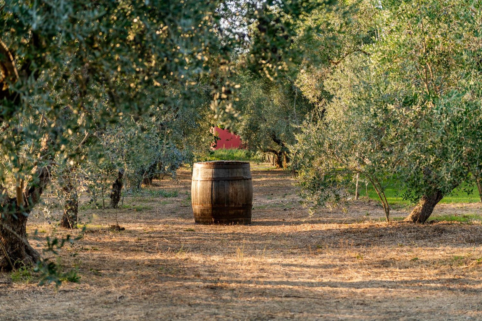 Oasi Verde Casin Anand - Retreat & Spa Novoli Extérieur photo